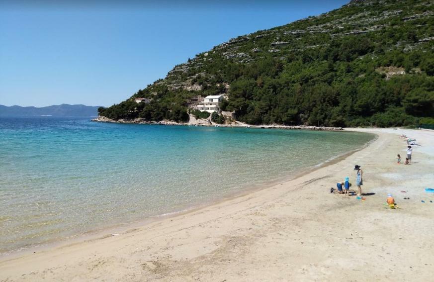 Apartman Radic Ston Esterno foto