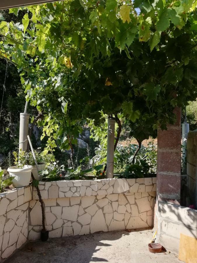Apartman Radic Ston Esterno foto